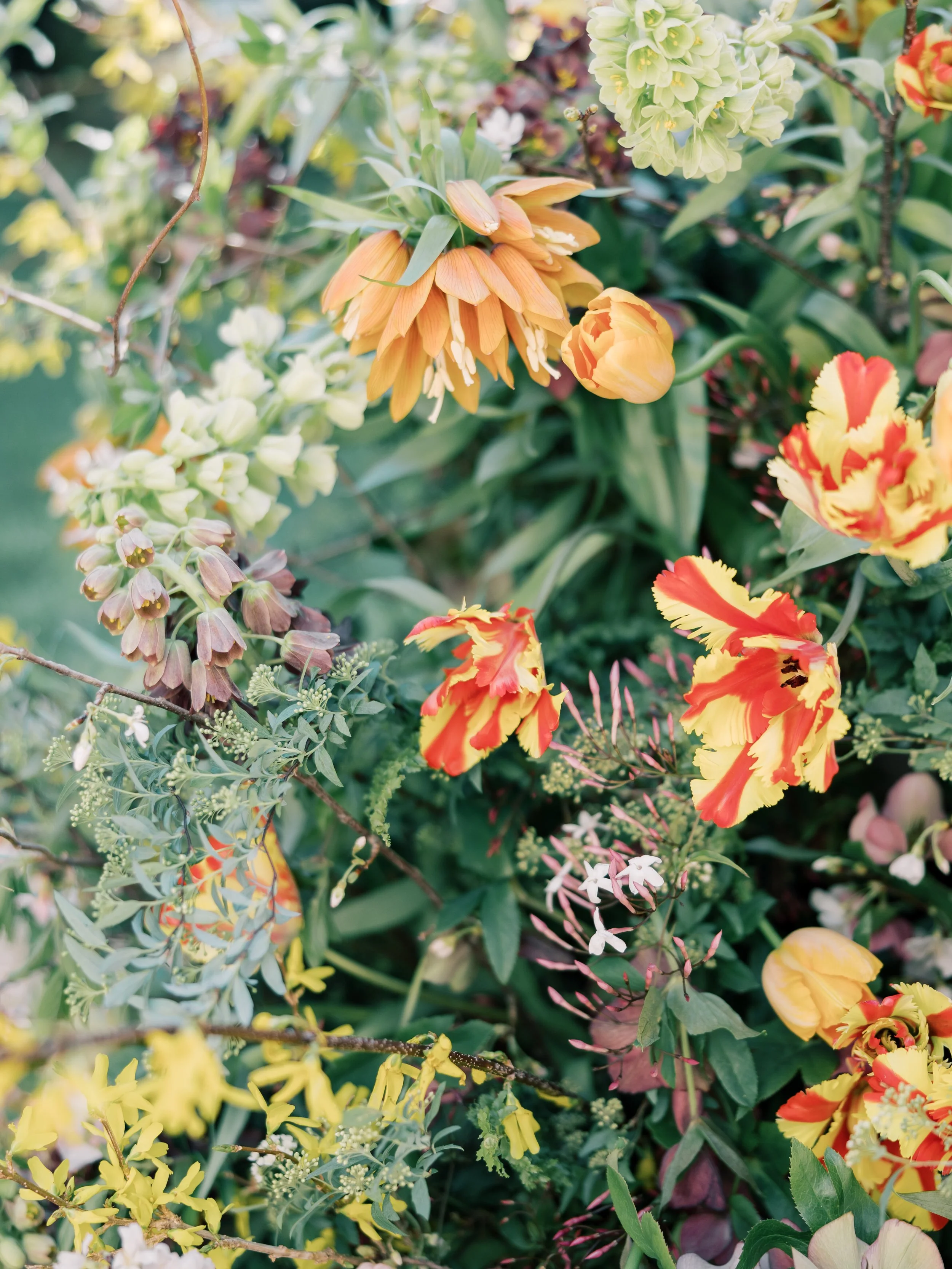 Art in Bloom 2024-3.jpg