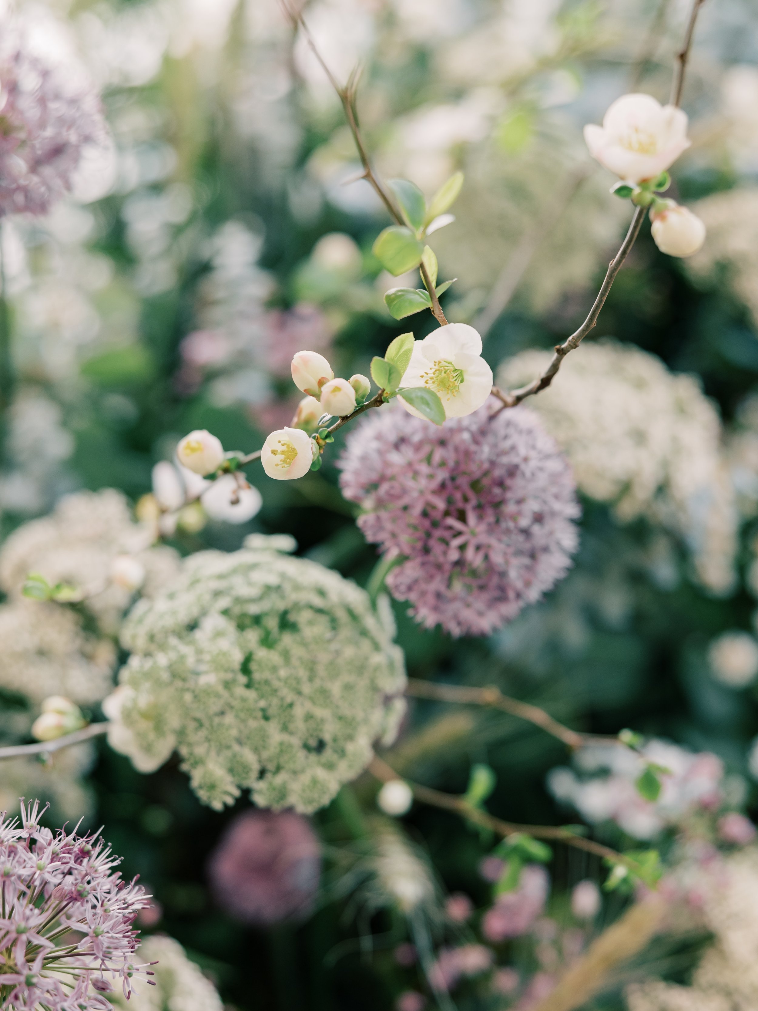 Art in Bloom 2024-36.jpg