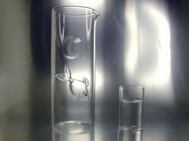 carafe pesce.jpg
