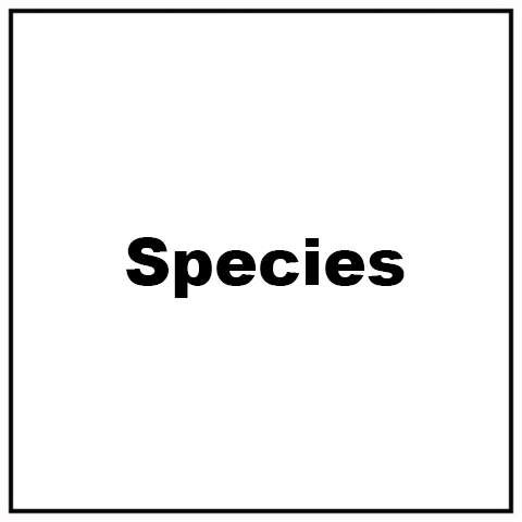 species.png
