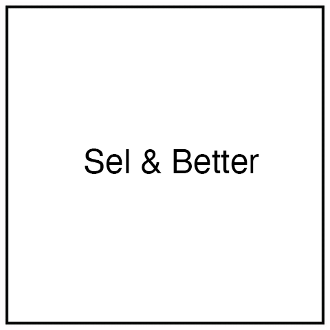 selbetter.png