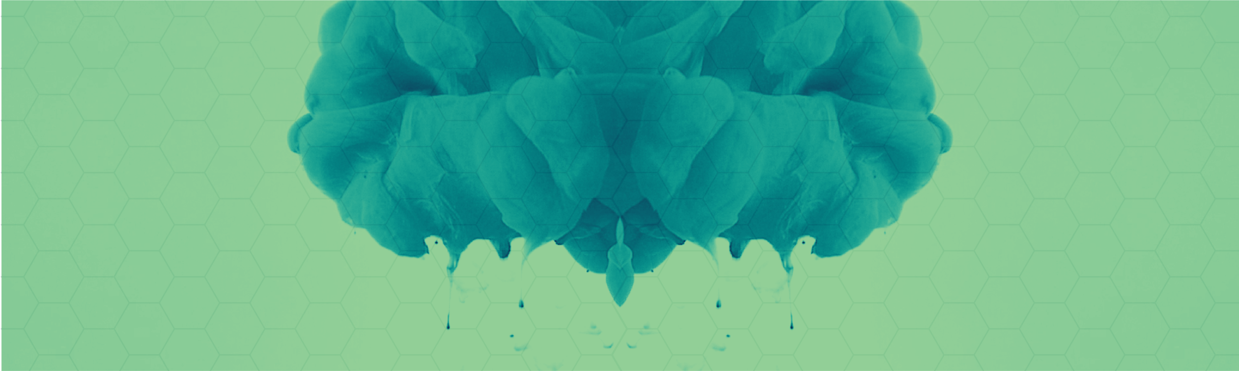 2.1_PT_Header.png