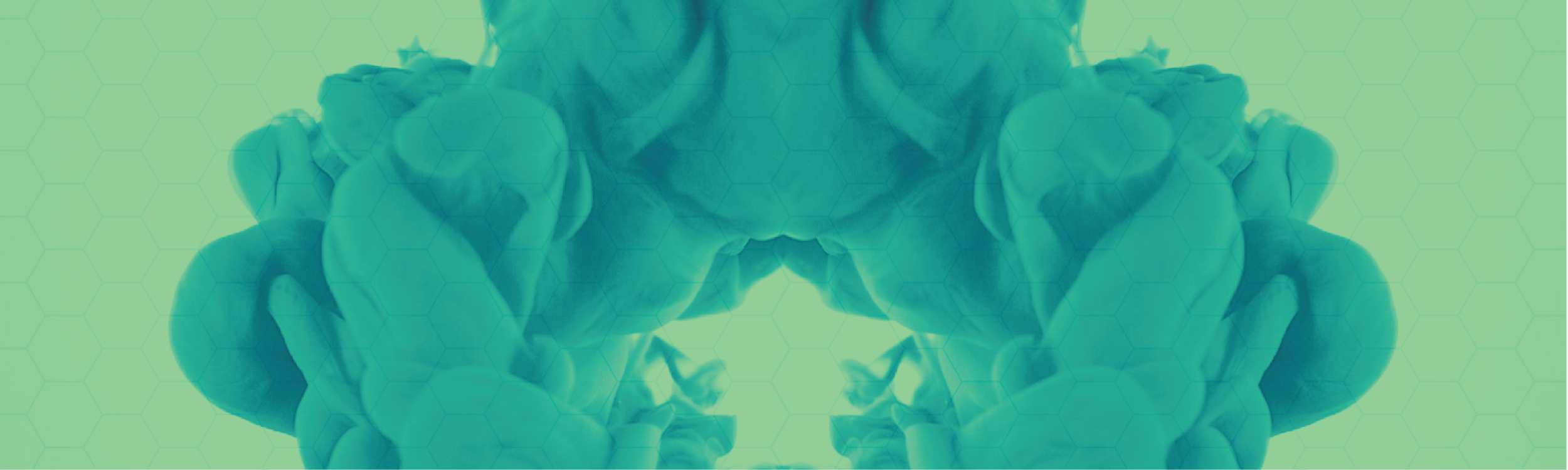 4.1_PT_IMG_Bg-01.png