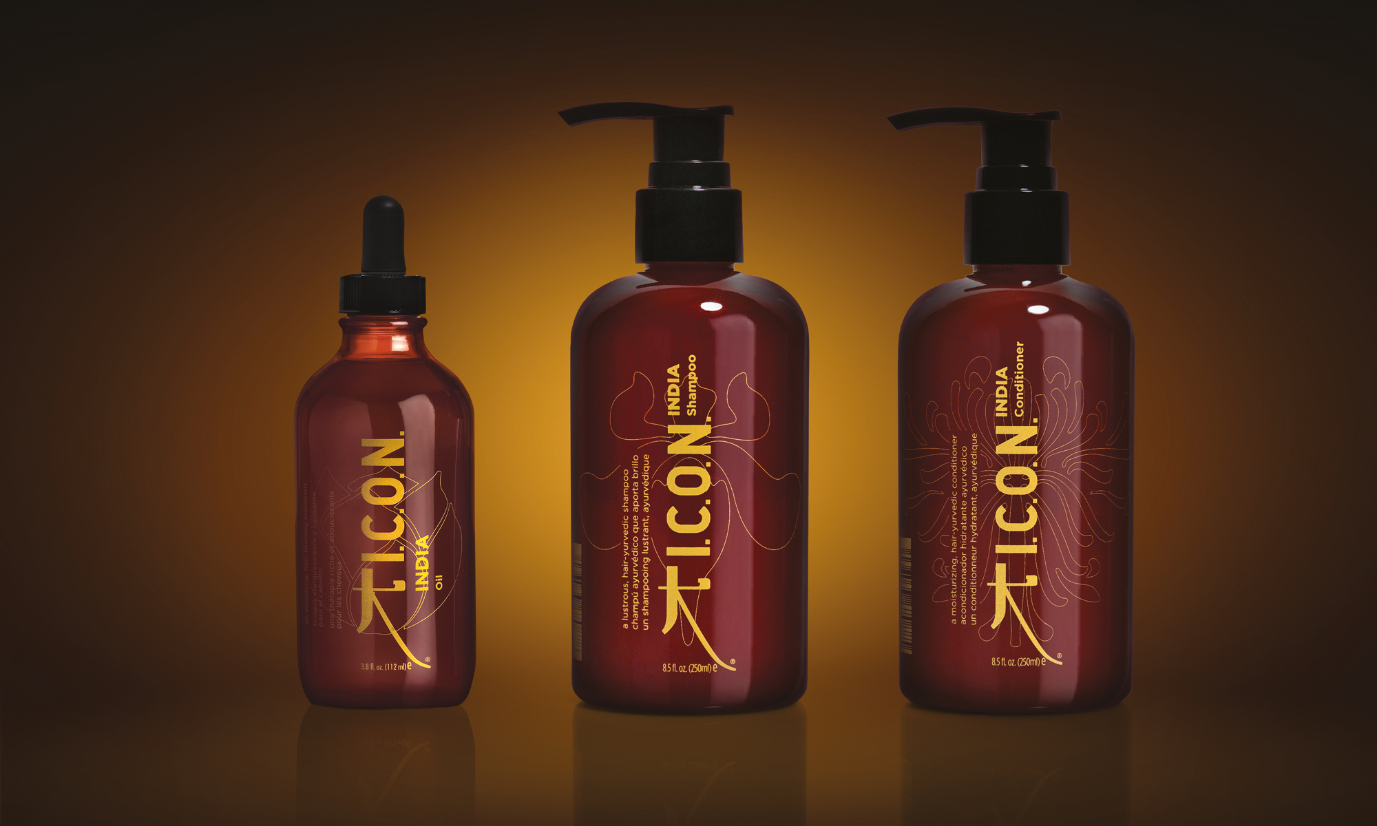 ICON Case Study S16.jpg