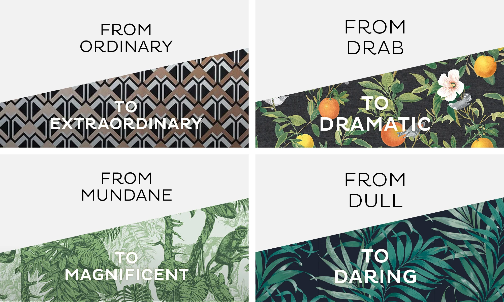 G&B App Case Study S13.jpg