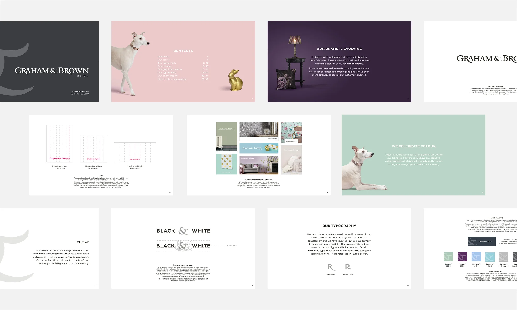 G&B Brand Case Study S24.jpg