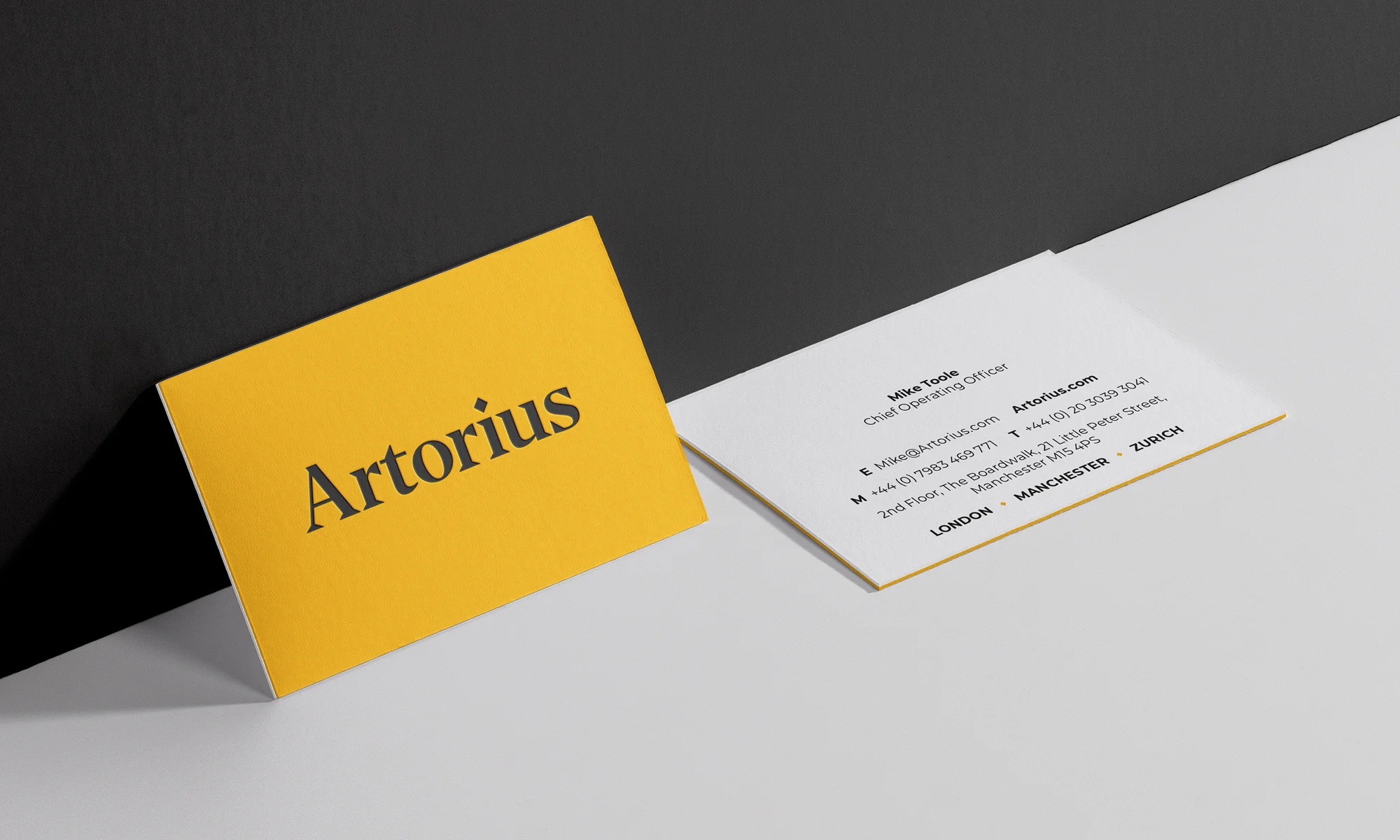 Artorius Case Study S16.jpg