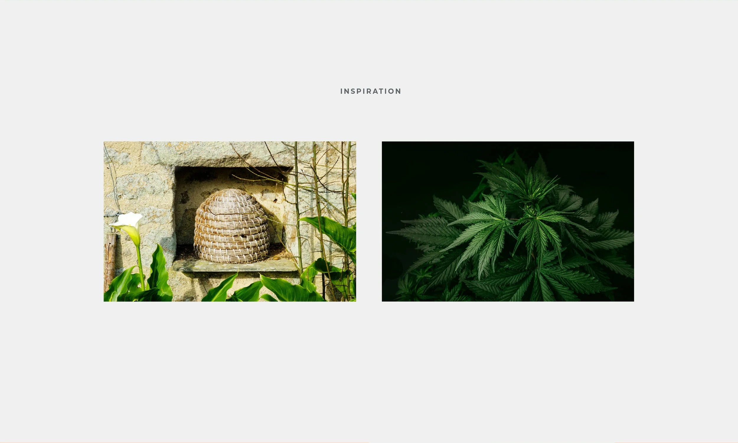 Honey+Pot Case Study S1-02.jpg