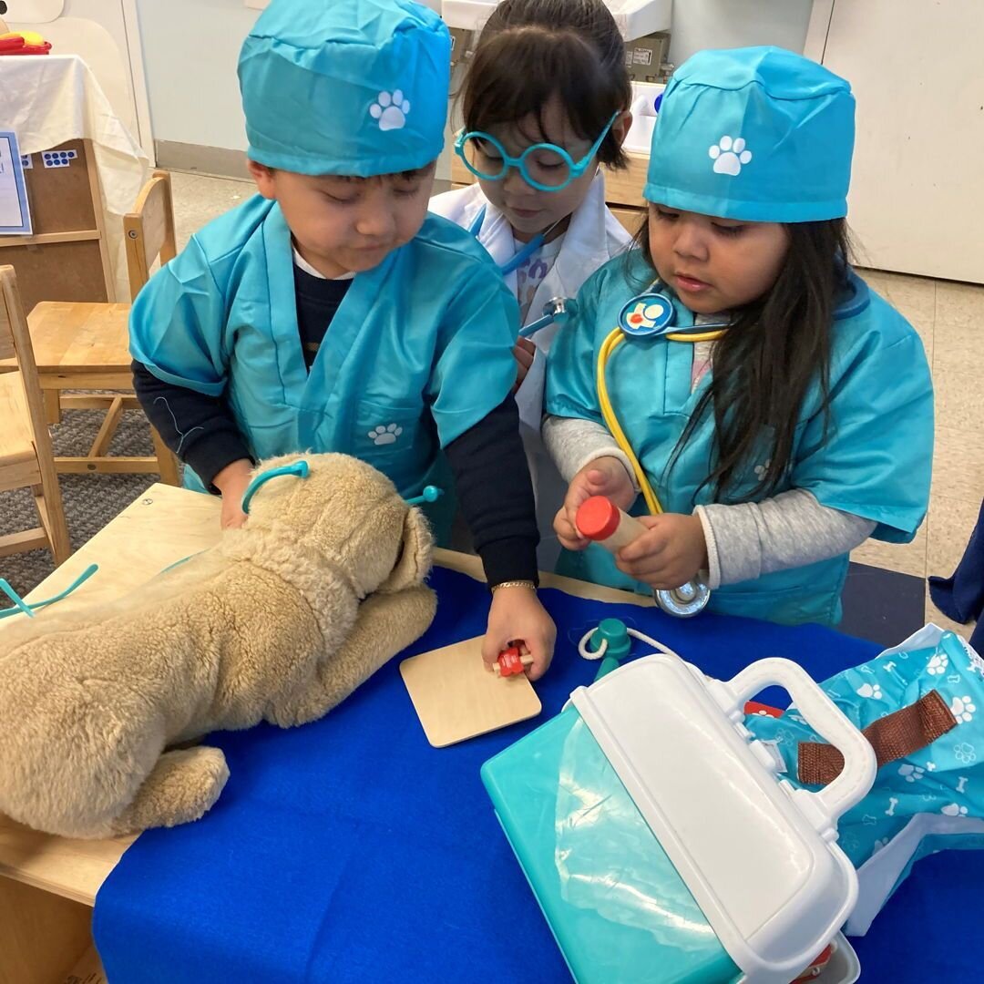 All of our Head Start classrooms did a six-week study on pets and animals as part of our Creative Curriculum. Each classroom conducted an investigation of pets&mdash;with children and teachers exploring questions such as &ldquo;How do we care for pet