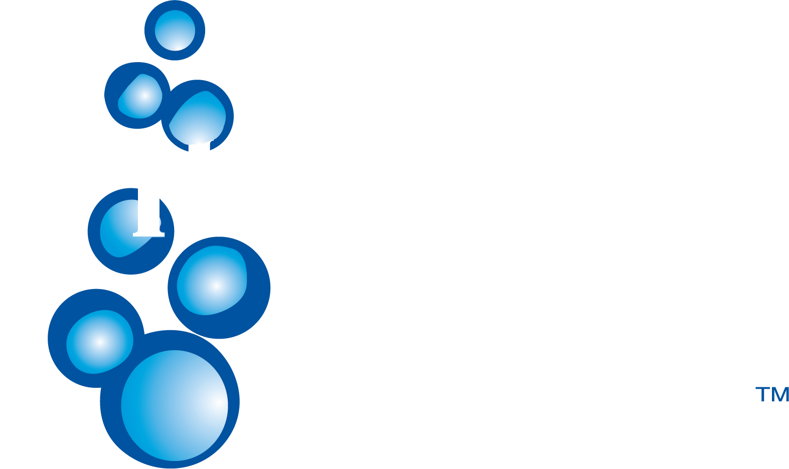 Viking Spas 4-5 Person Hot Tubs