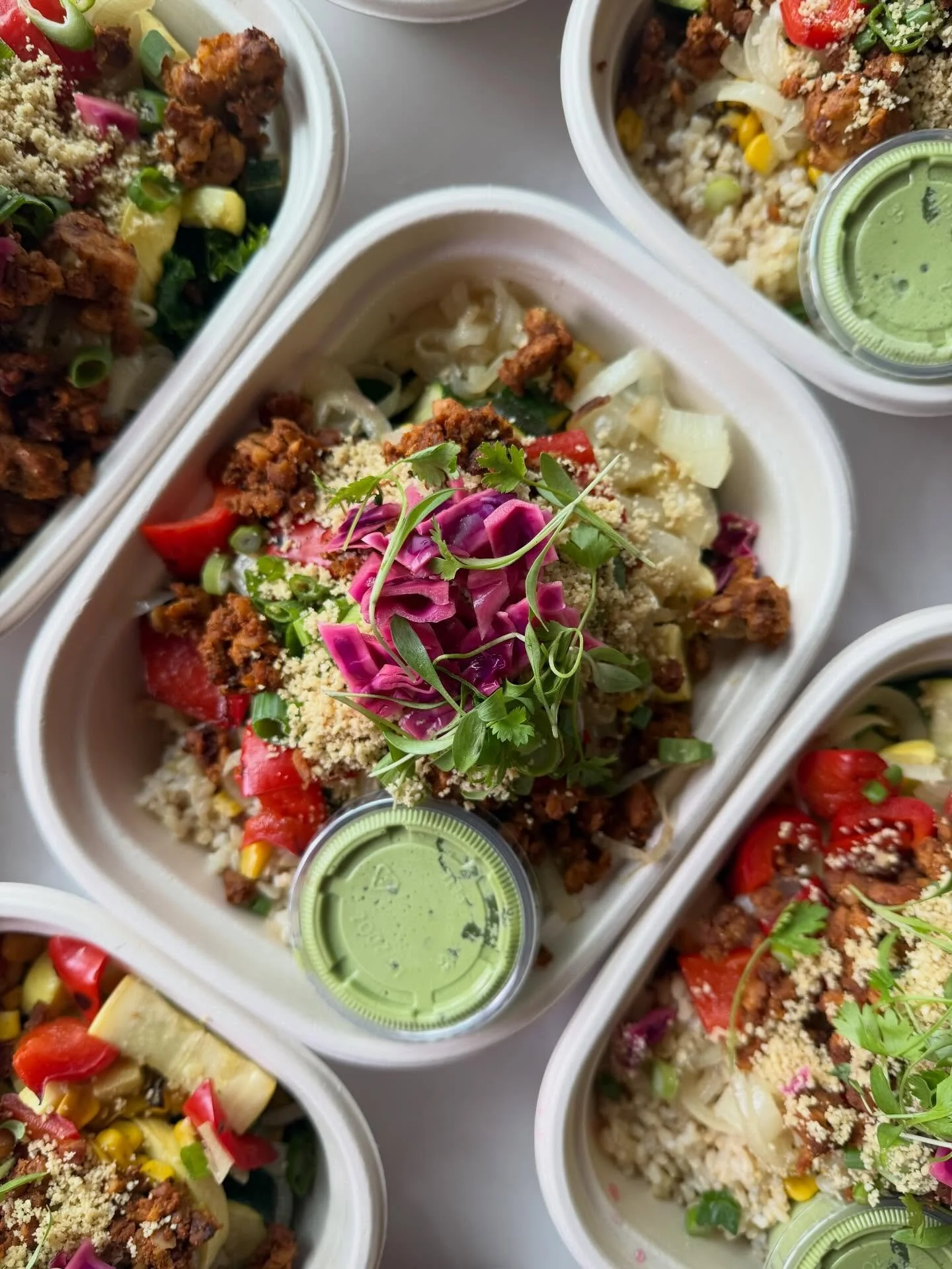 Is there anything better than opening the fridge and having healthy, nourishing plant powered meals just waiting for you? 😏

I have 3 deliveries planned out of 4 weeks this month and I just really love being able to feed and support others through w