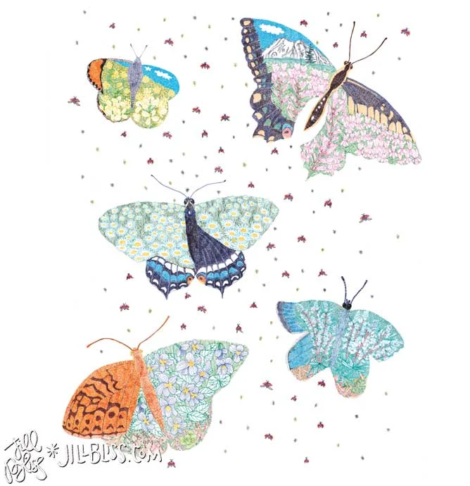 Alpine-Butterflies.jpg