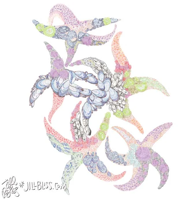 Seastar-Tidepools.jpg