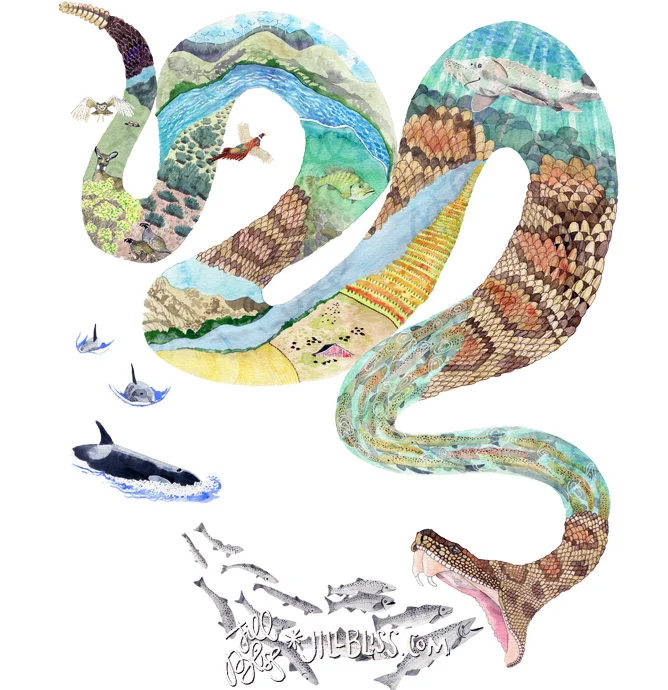 snake.jpg