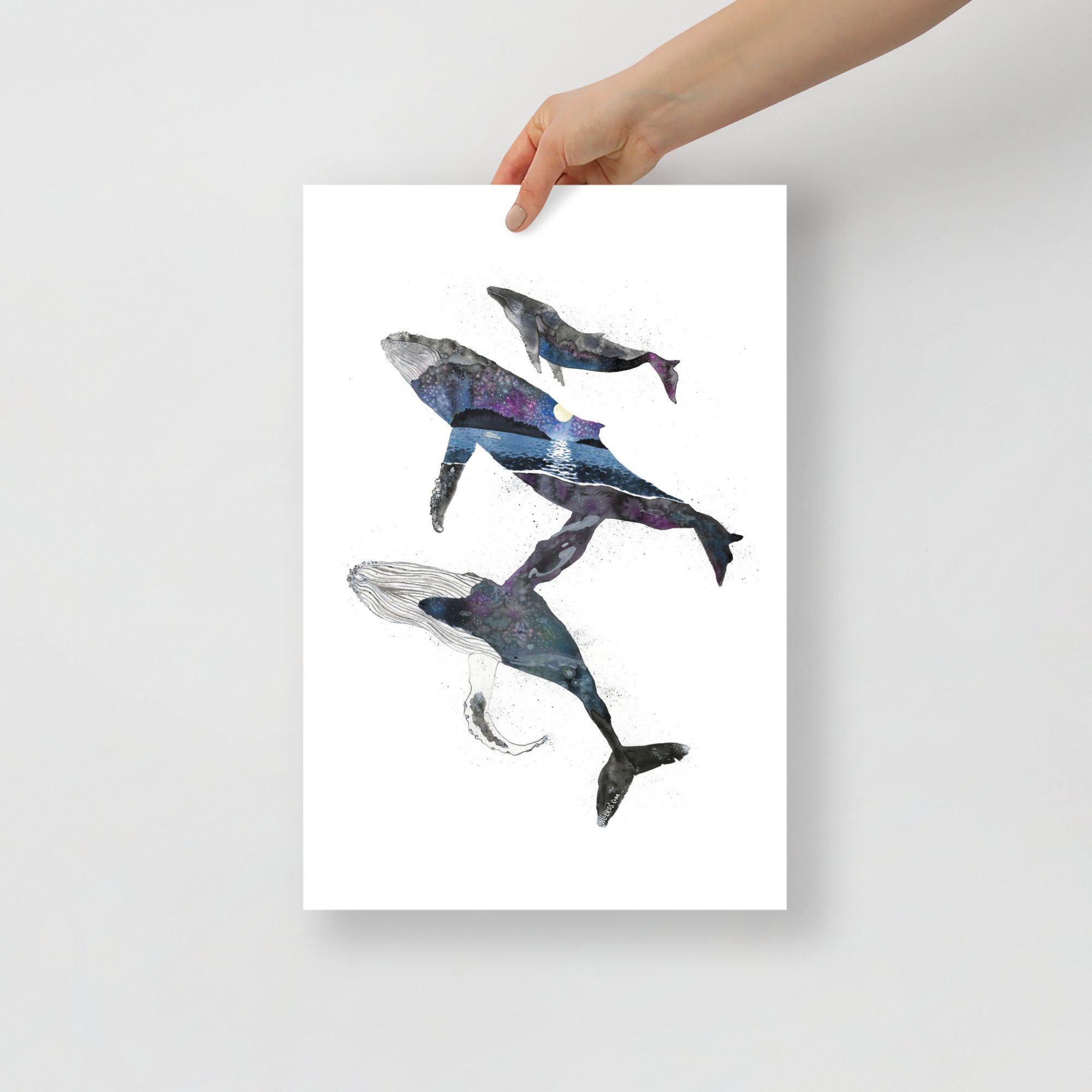 enhanced-matte-paper-poster-(in)-12x18-front-65afc582cc664.jpg