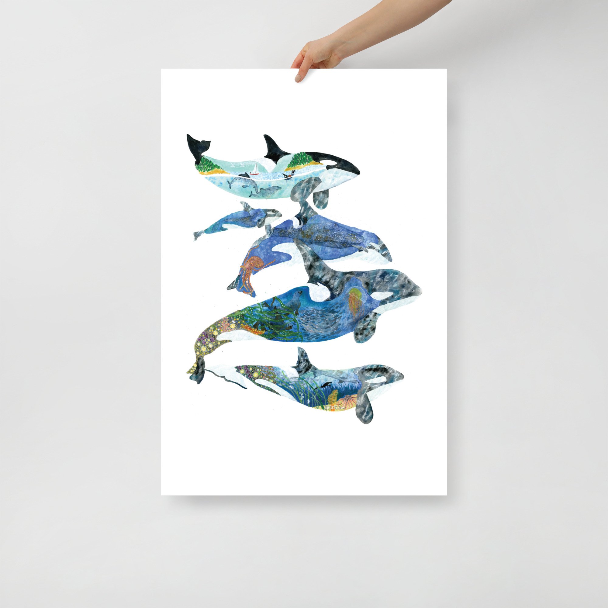 Orca Salish Sea Habitat Matte Paper Poster Print — JILL BLISS