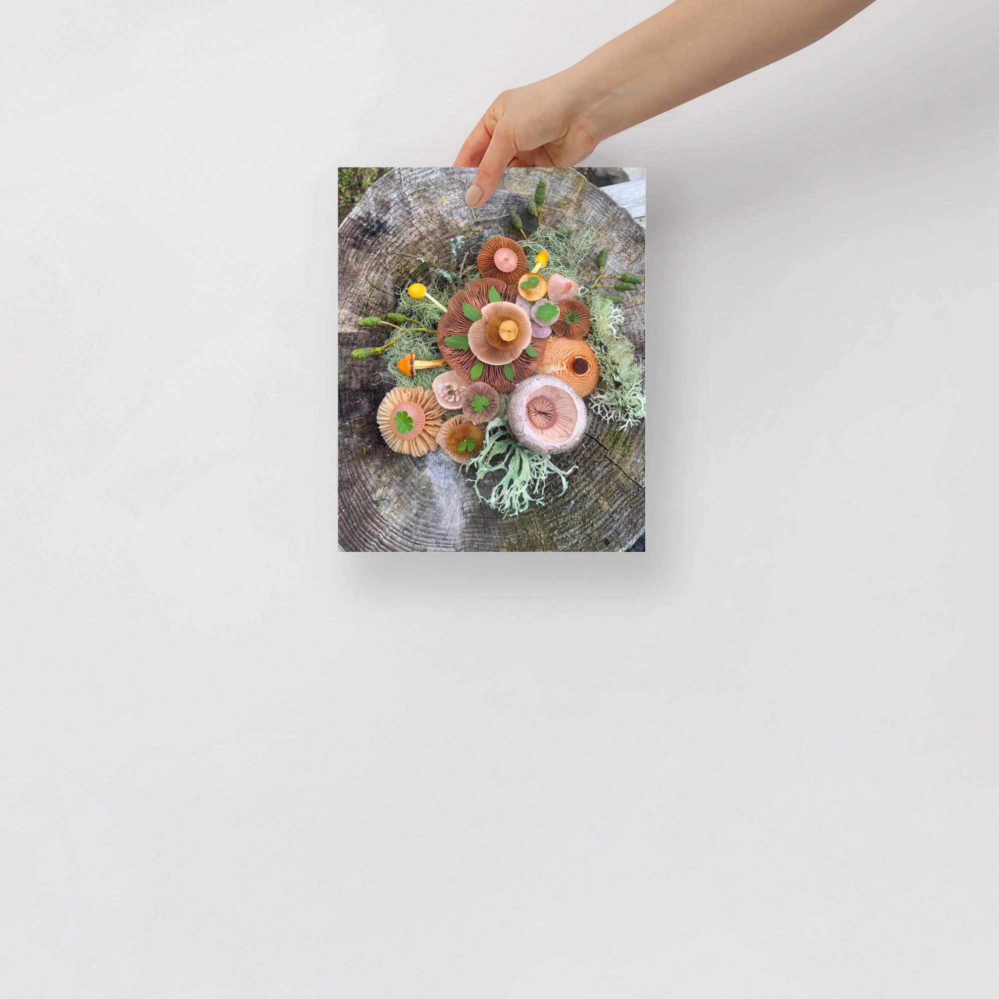 enhanced-matte-paper-poster-(in)-8x10-front-65afeb46ce18b.jpg