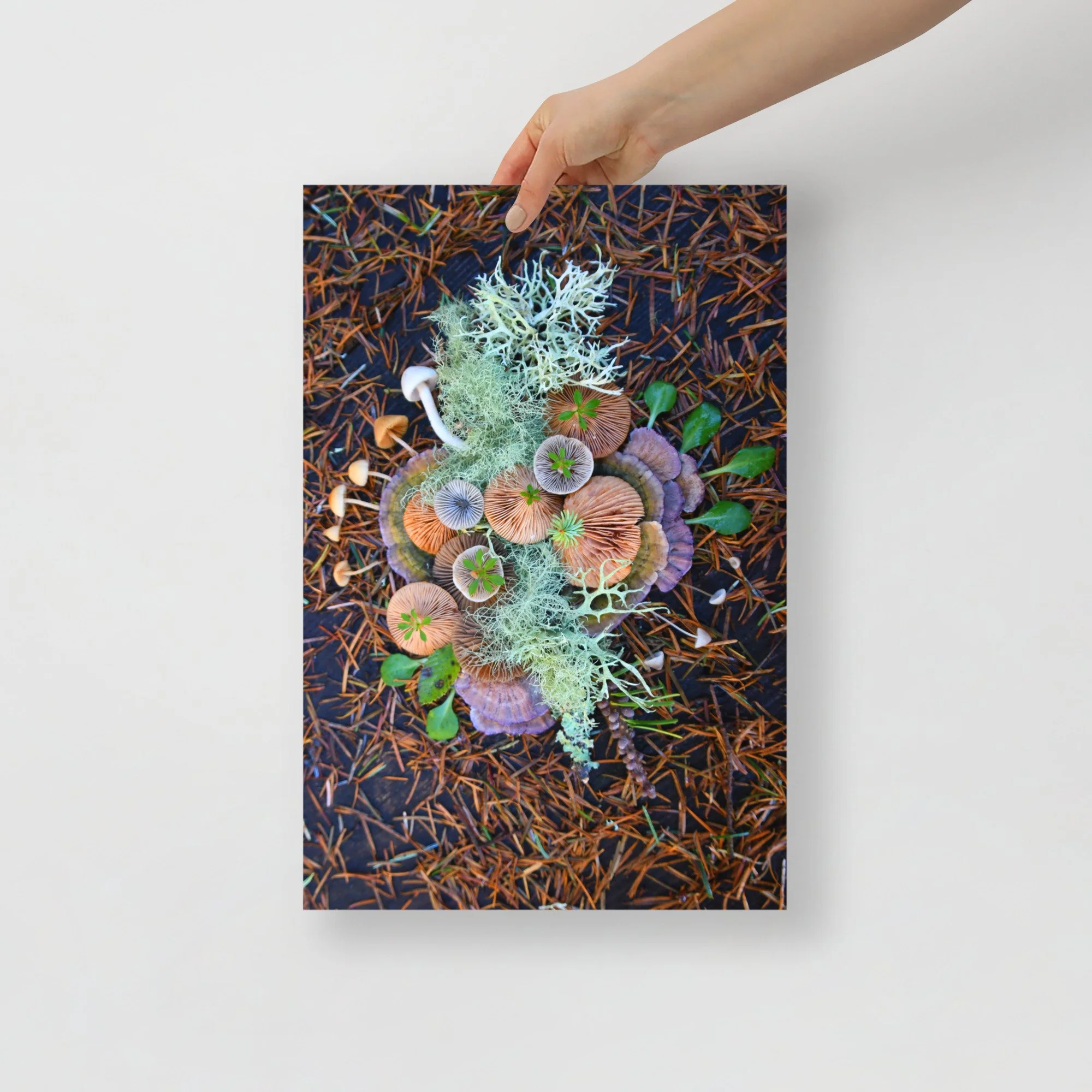 enhanced-matte-paper-poster-(in)-12x18-front-65afed3f7482c.jpg