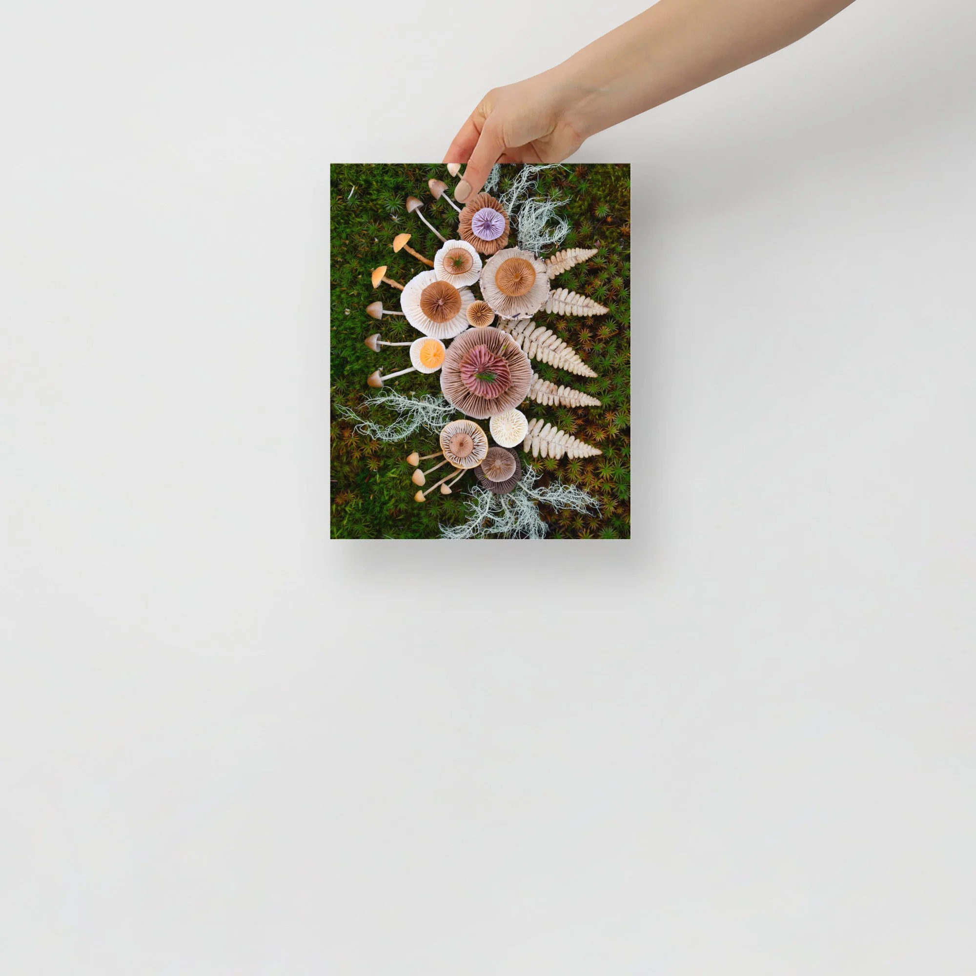 enhanced-matte-paper-poster-(in)-8x10-front-65aff1a370d12.jpg