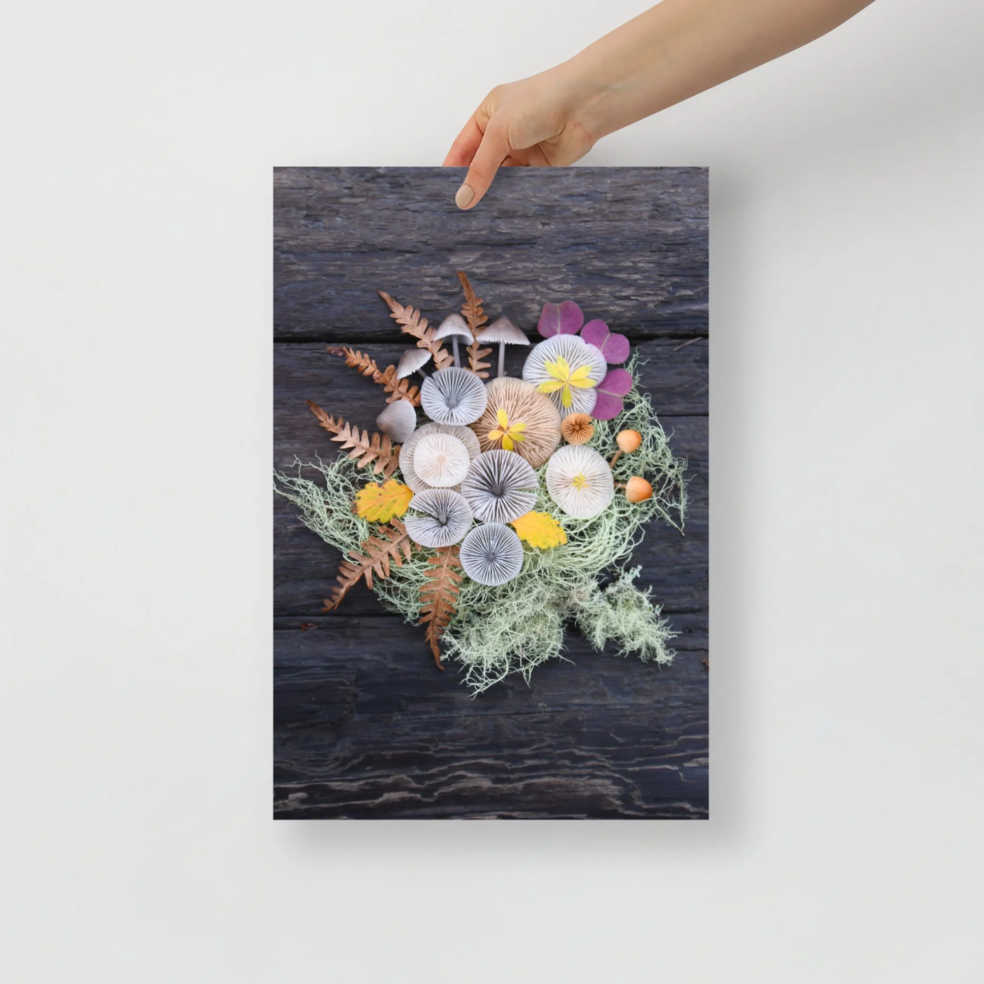 enhanced-matte-paper-poster-(in)-12x18-front-65aff509e736a.jpg