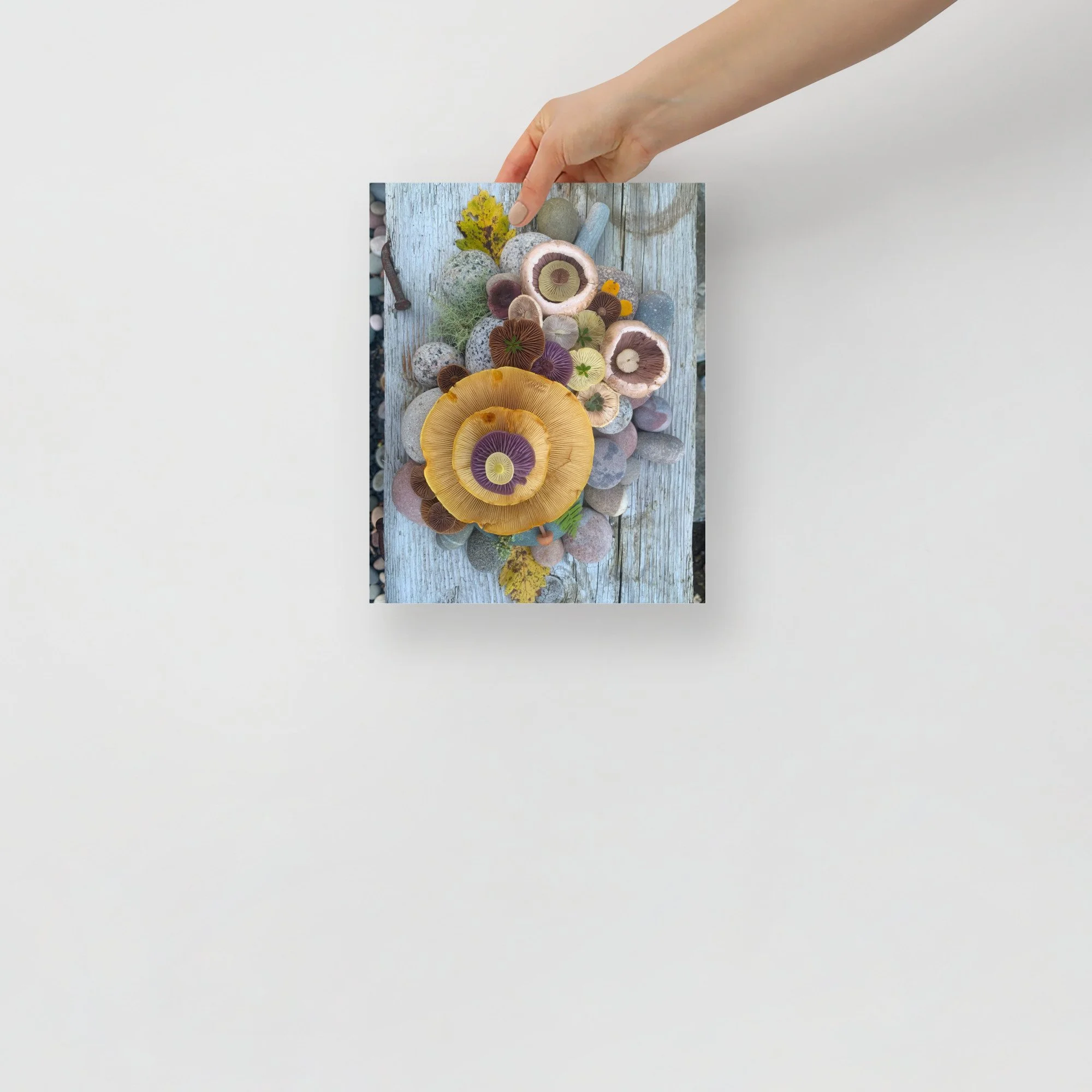 enhanced-matte-paper-poster-(in)-8x10-front-65aff5b5a6c2f.jpg