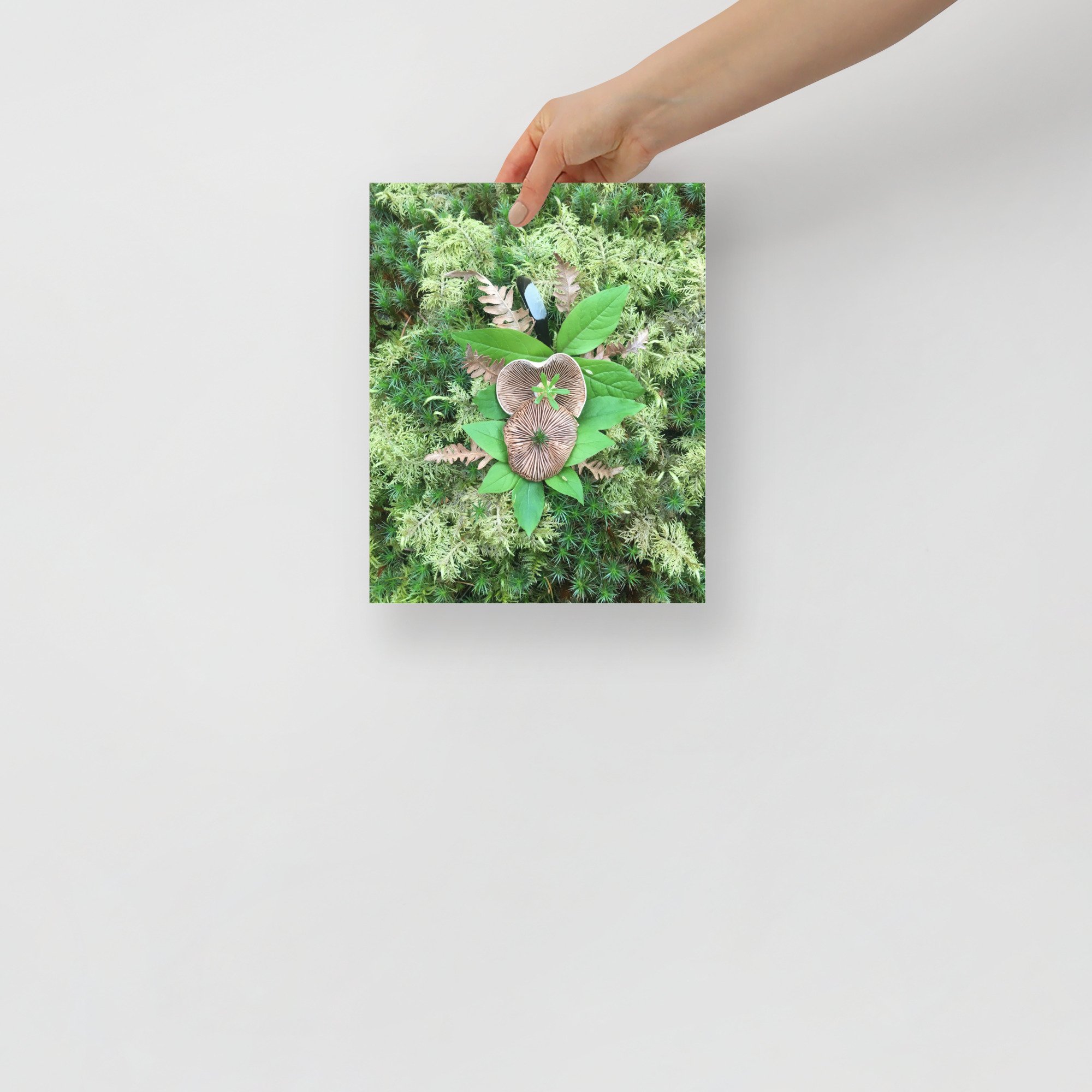 enhanced-matte-paper-poster-(in)-8x10-front-65affb1a8620b.jpg