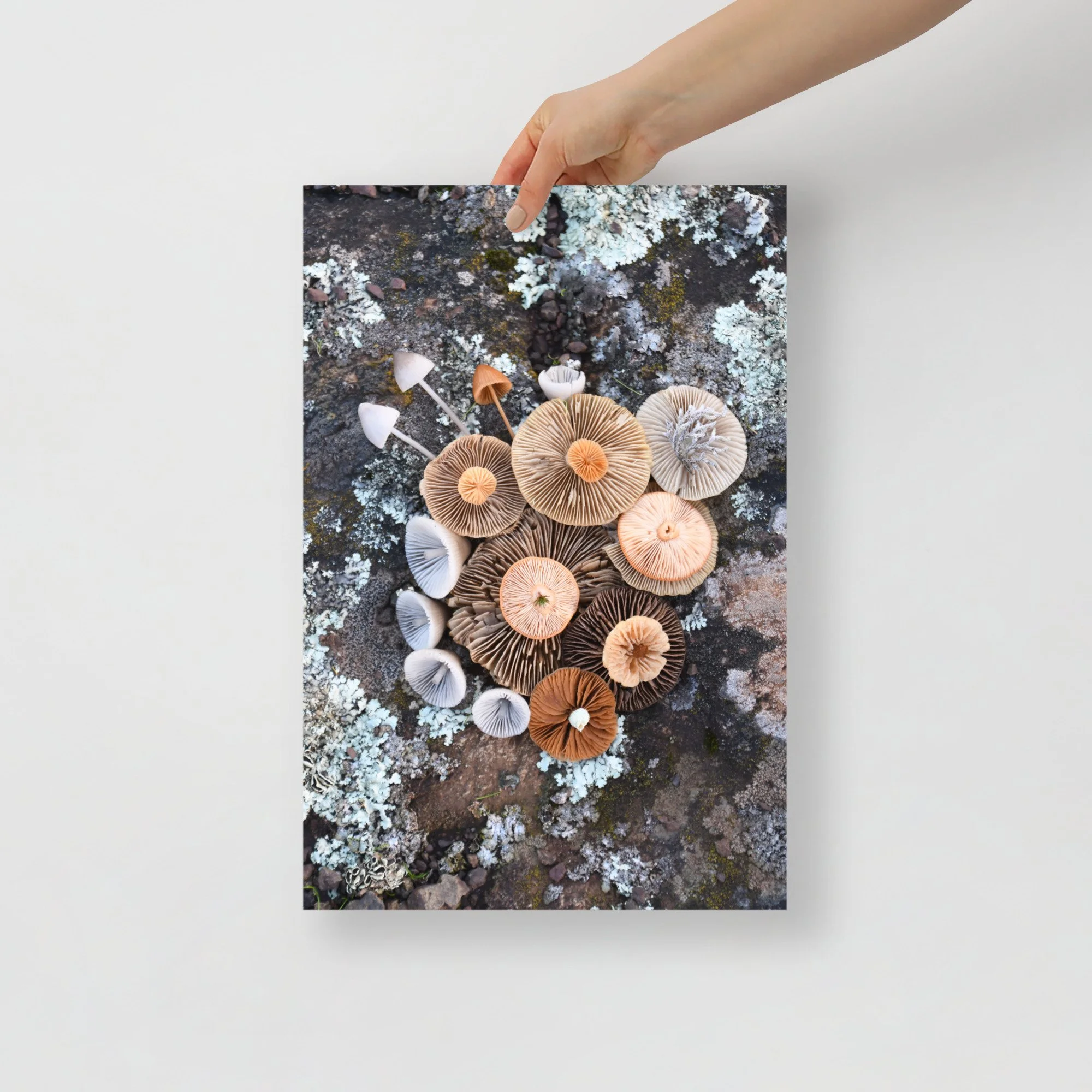 enhanced-matte-paper-poster-(in)-12x18-front-65b0015889000.jpg