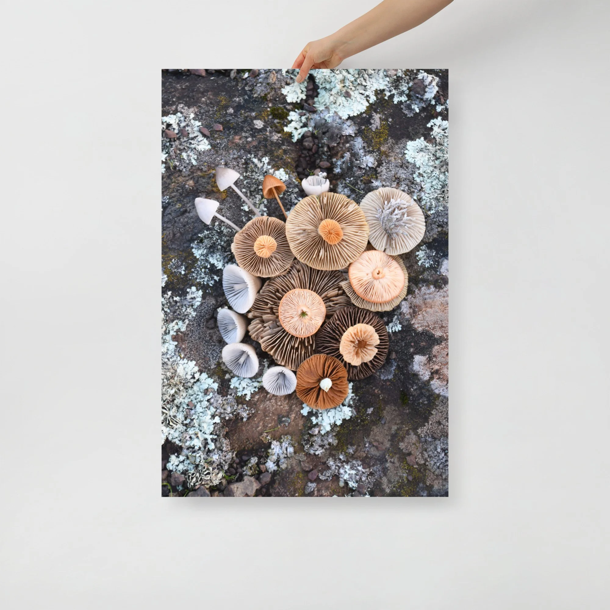 enhanced-matte-paper-poster-(in)-24x36-front-65b00158890c3.jpg