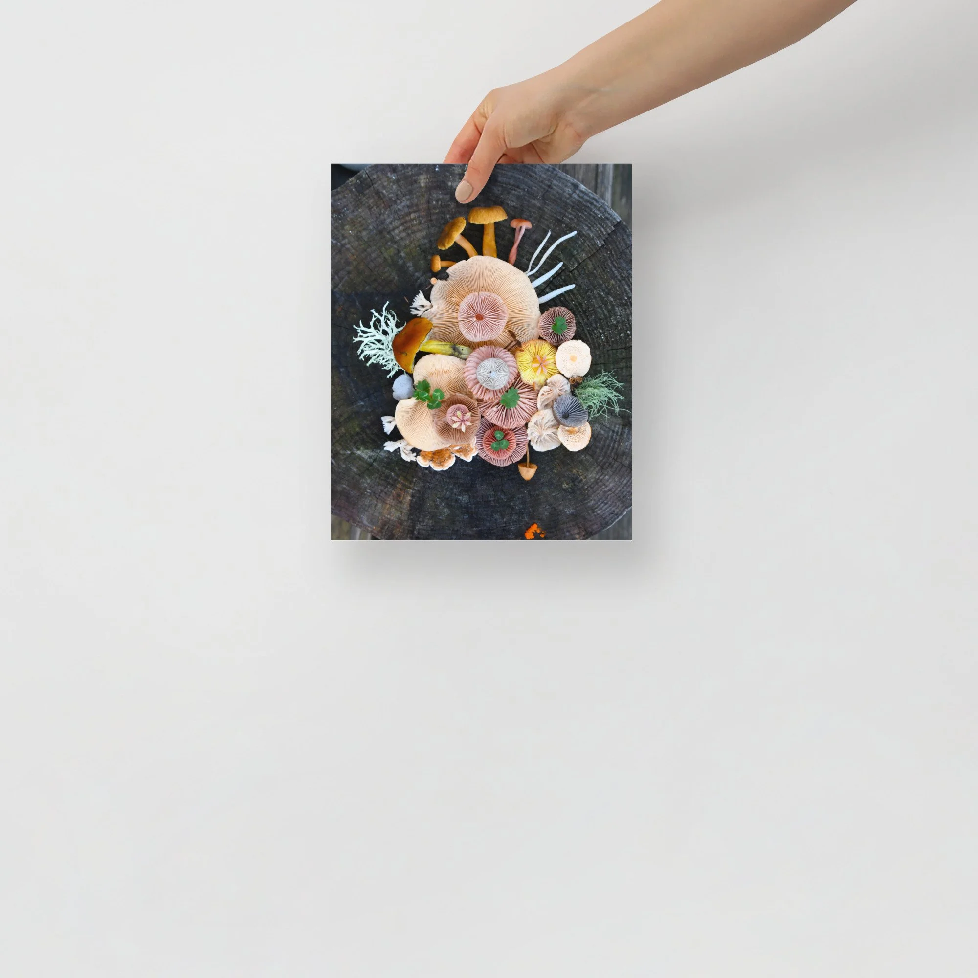 enhanced-matte-paper-poster-(in)-8x10-front-65b0033544562.jpg