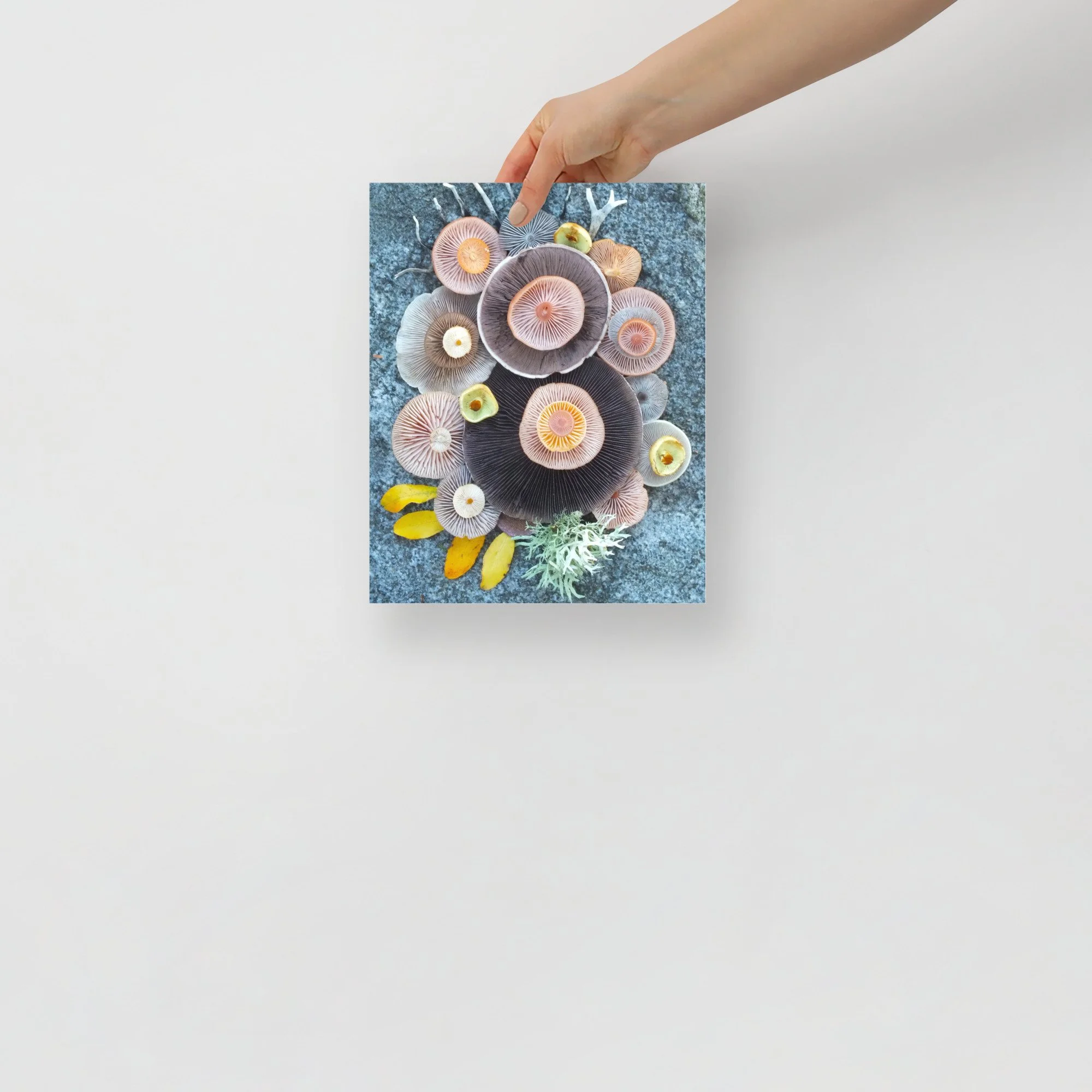 enhanced-matte-paper-poster-(in)-8x10-front-65b0049db04f4.jpg