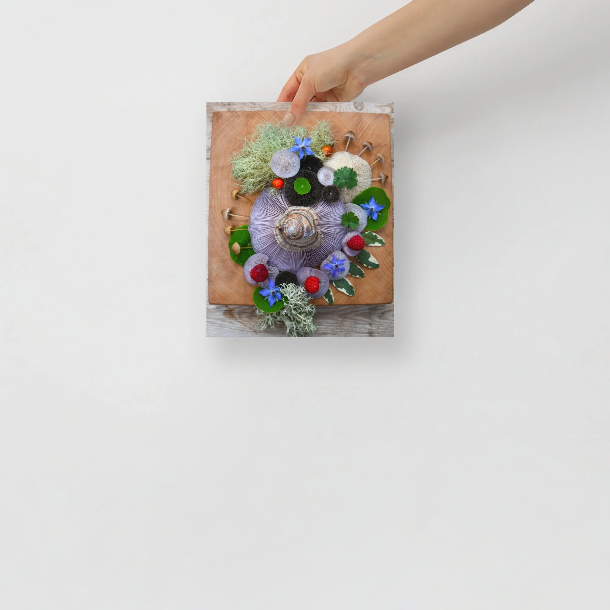 enhanced-matte-paper-poster-(in)-8x10-front-65b0058081ffc.jpg