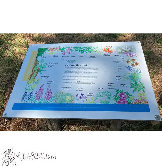 flora-overview-insitu.jpg