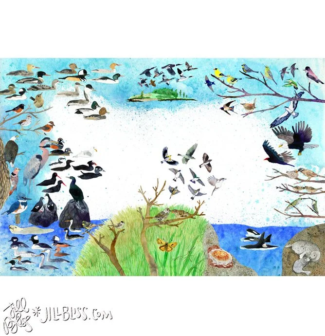 fauna-overview.jpg