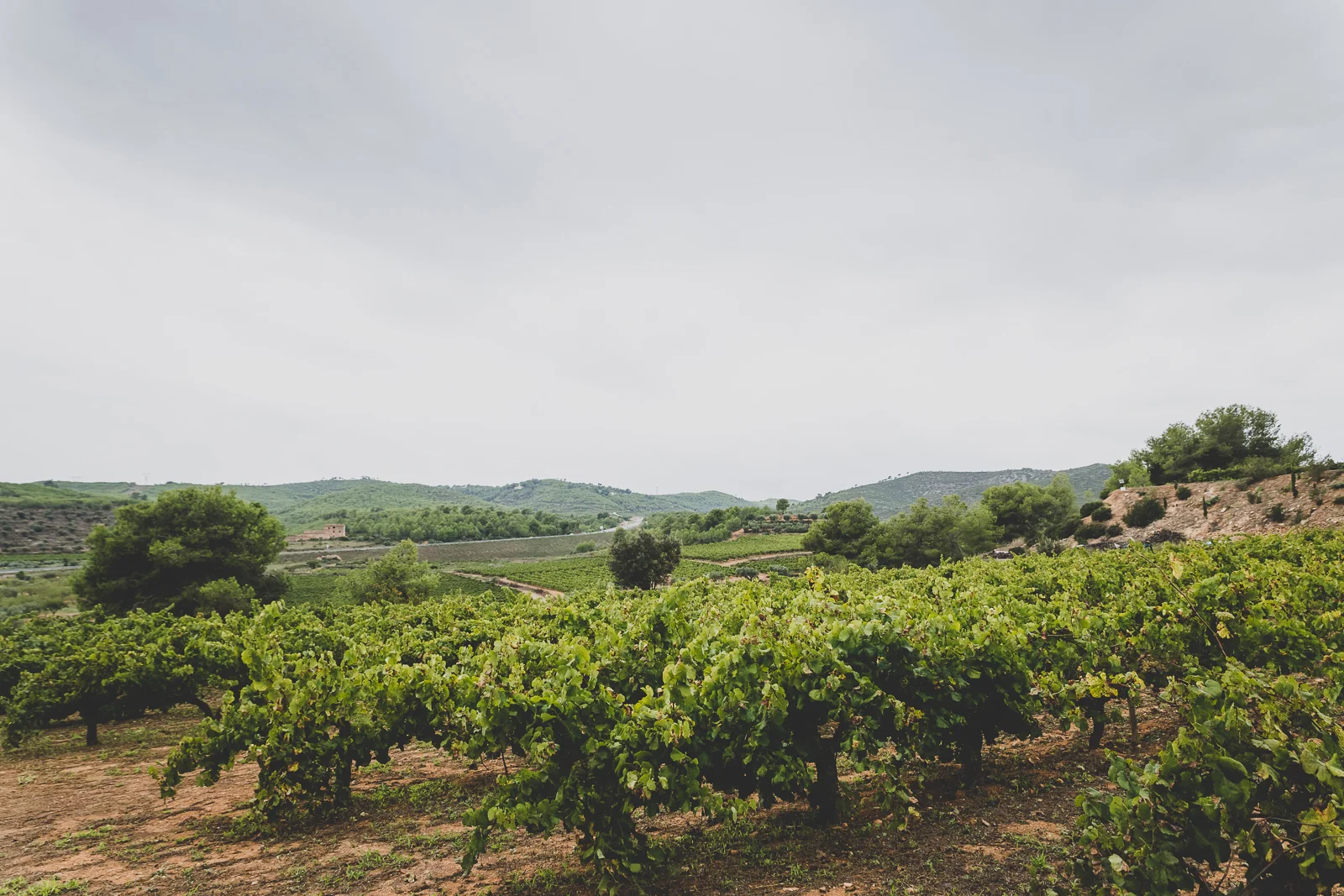 casament rustic intim penedes misshappyflash.jpg