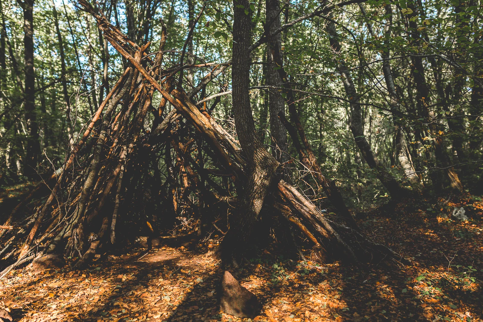 fageda-1.jpg