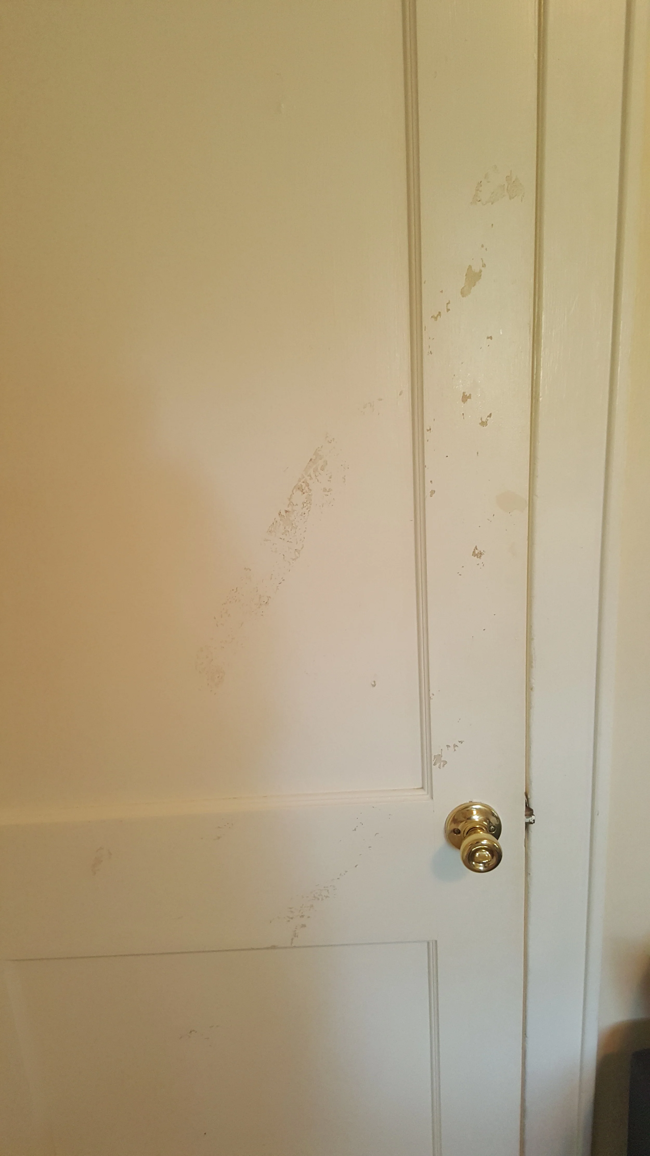 20190804_170039.jpg