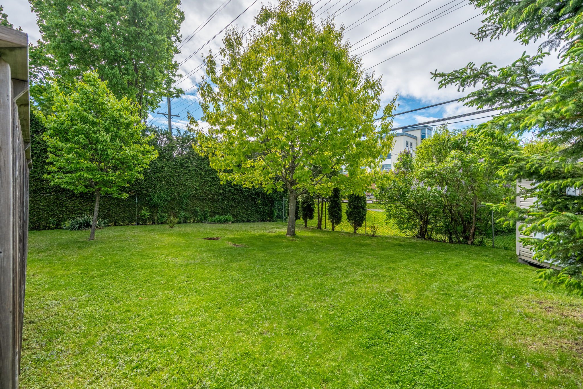 42-web-or-mls-624-browning-ave.jpg