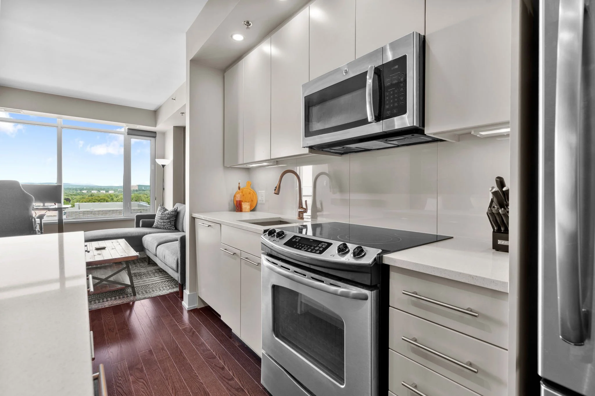 9-web-or-mls-88-richmond-rd-708.jpg