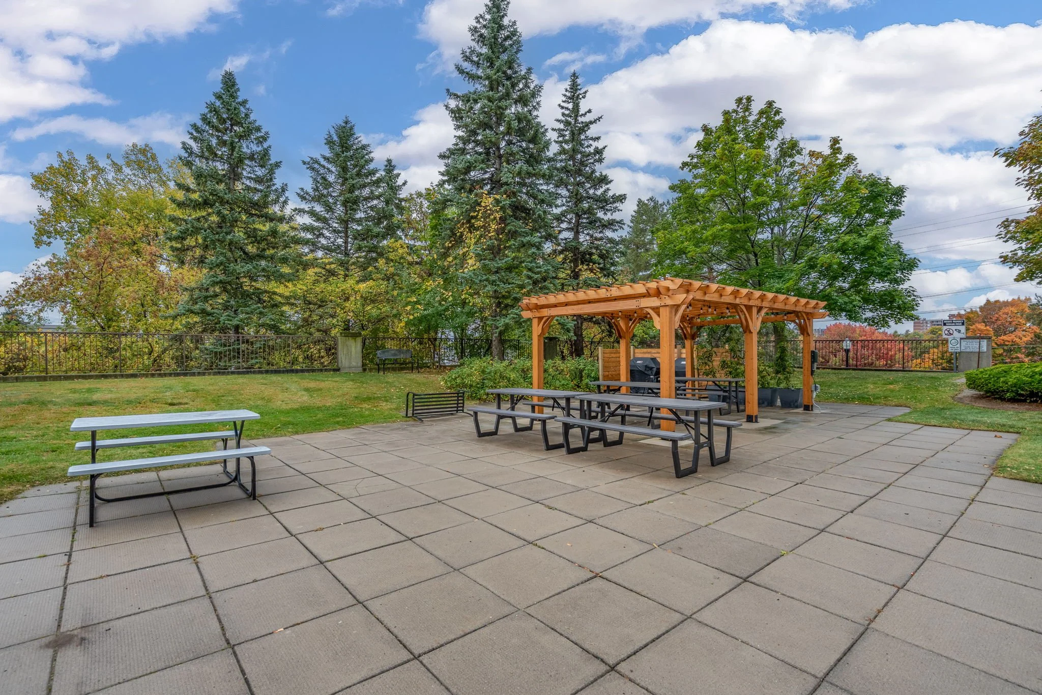 30-web-or-mls-545-st-laurent-blvd-1604.jpg