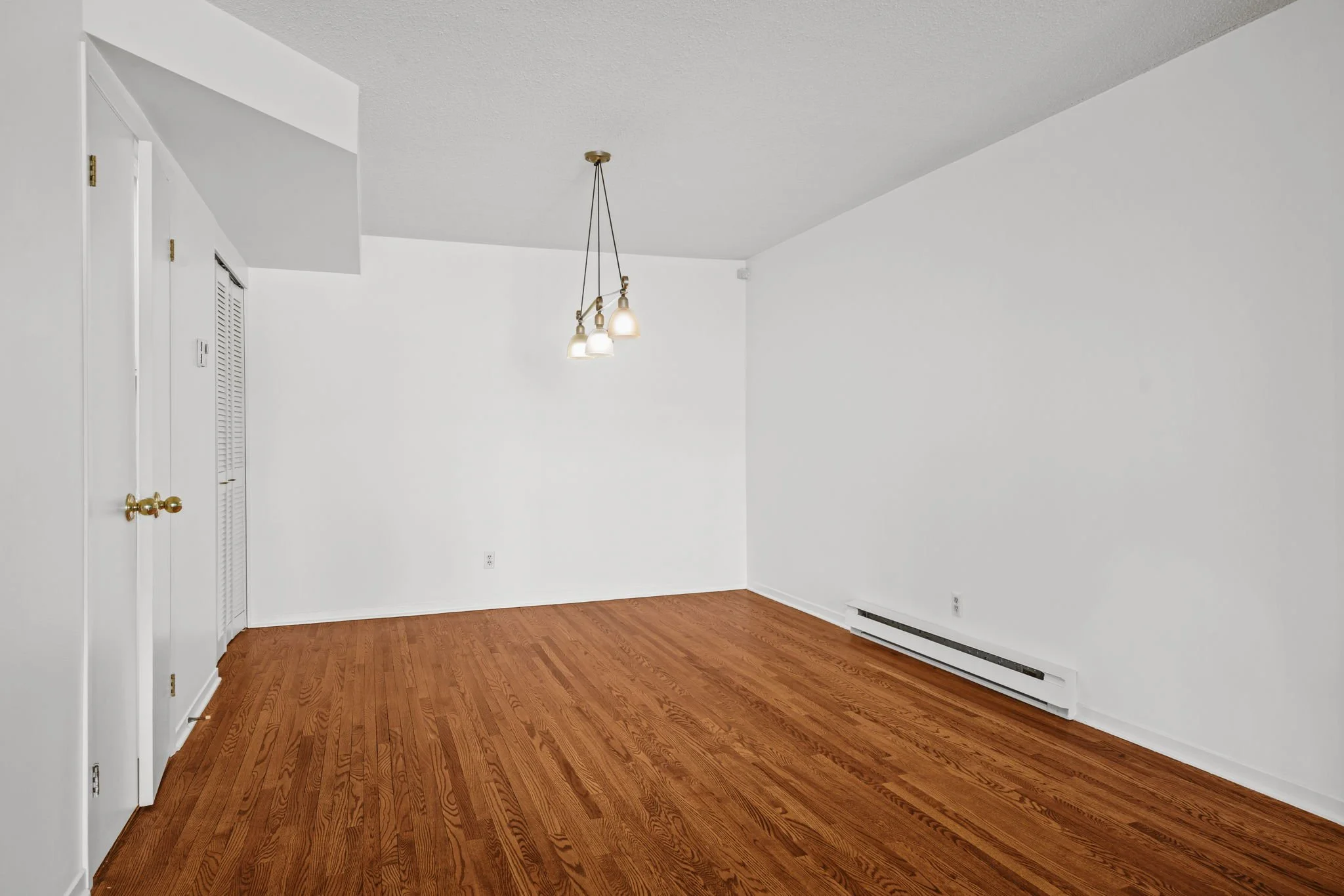 13-web-or-mls-295-gilmour-st-103.jpg