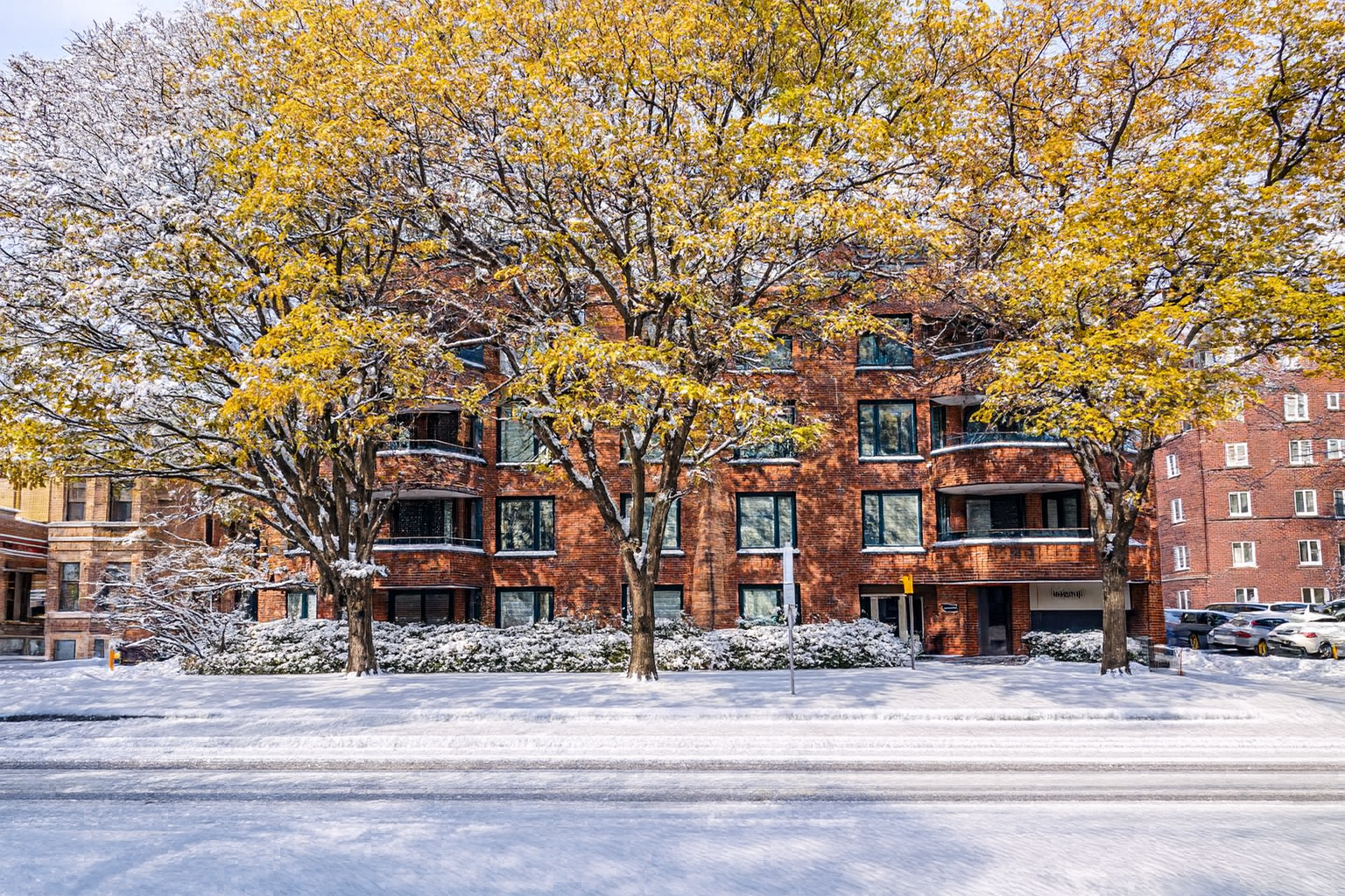 103-295 Gilmour - winter .png