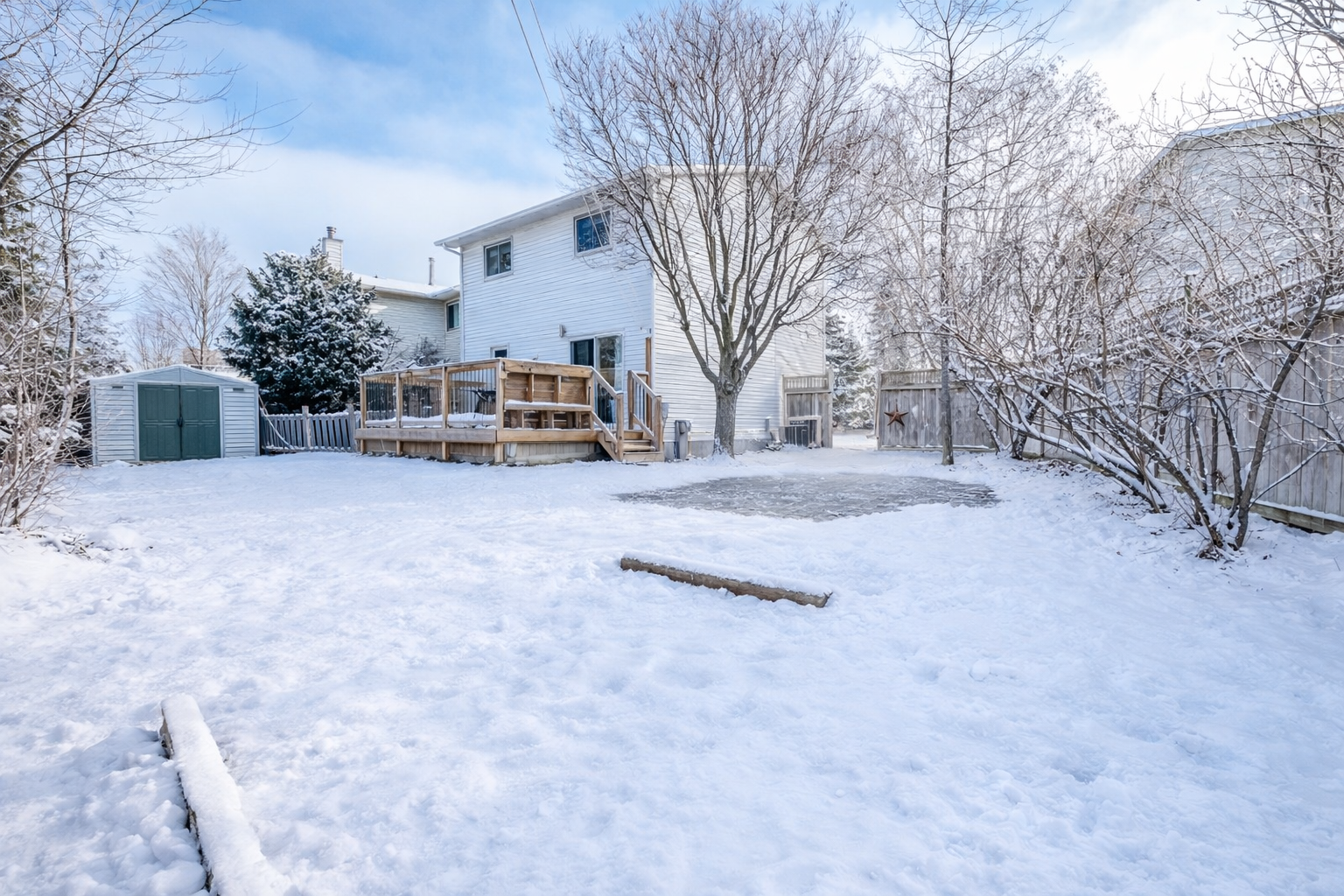 36 Gowrie - backyard.png