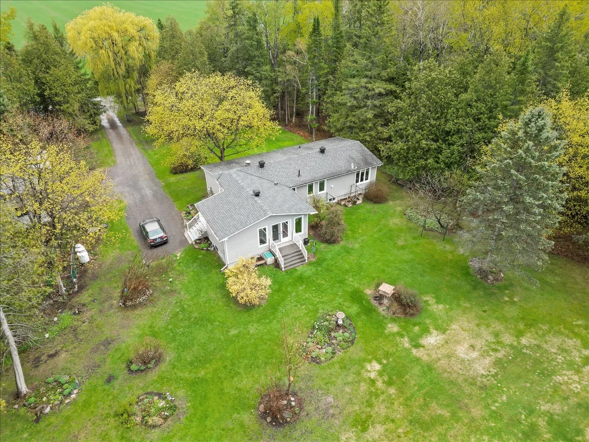 53-DJI_0074 (1).jpg