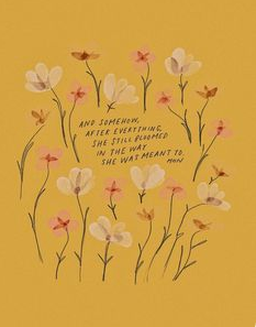 quote12.PNG