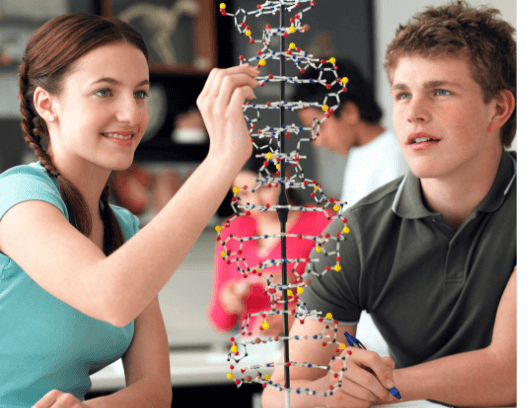 Problem Solving. png