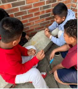 Marshmallow Tower Challenge