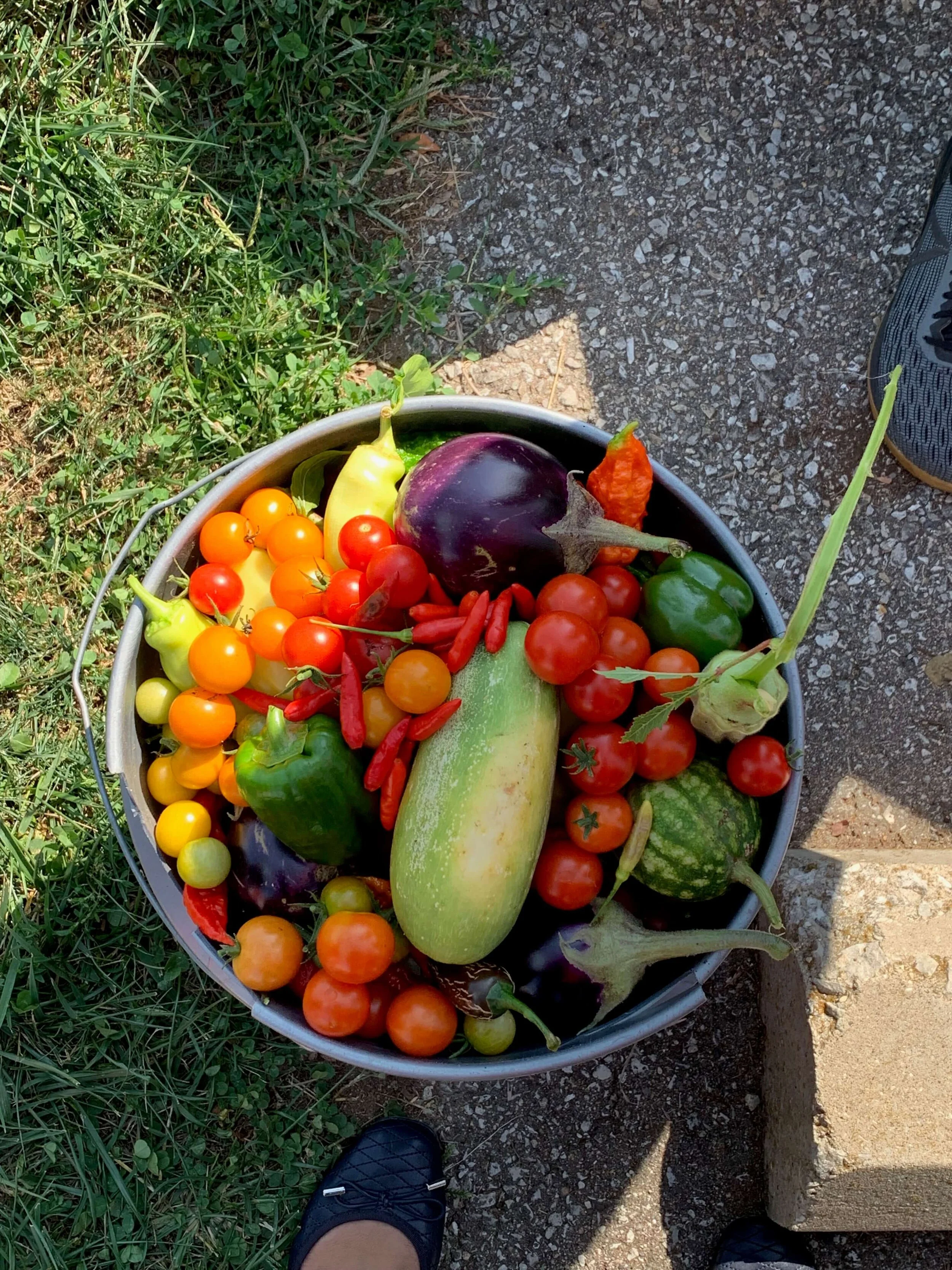 Garden Project 2.jpeg