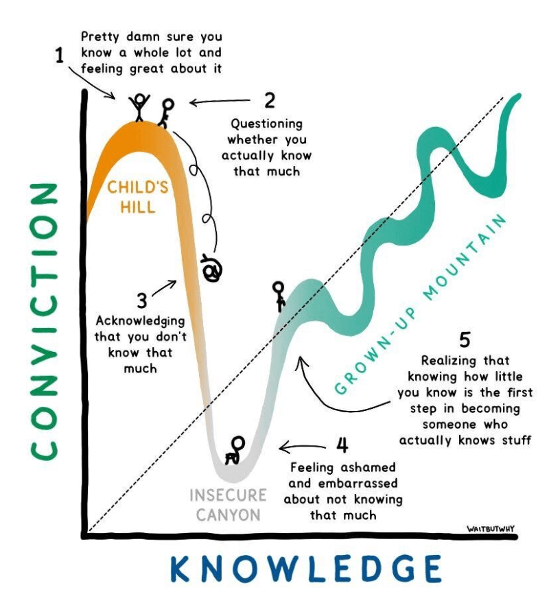 The DunningKruger Effect — Magnify Learning