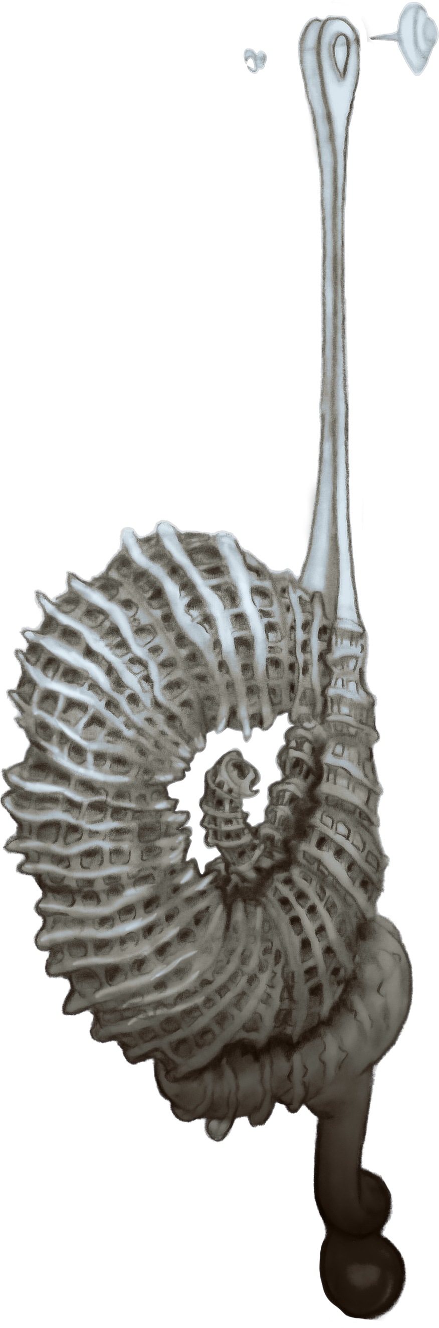 Hard Costume Pieces_Earring.png