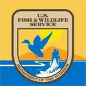 fish & wild small.jpg